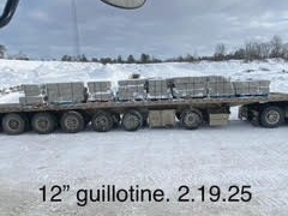 Guillotined 12 Inch